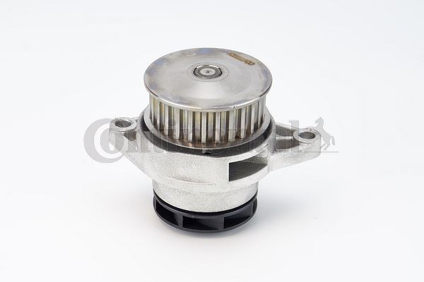 CONTI WP6020 Devirdaim