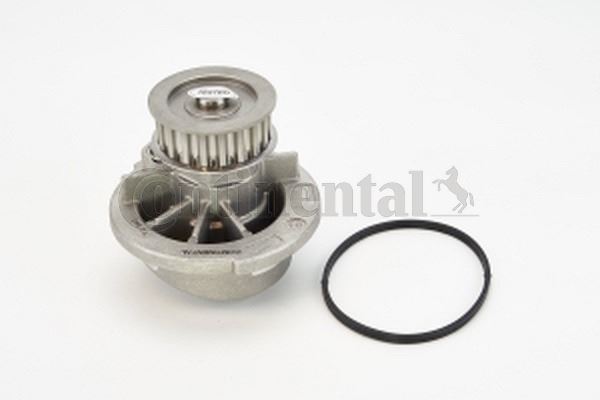 CONTI WP6043 Devirdaim