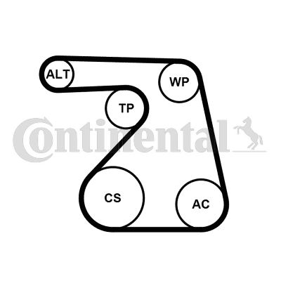 CONTI 6PK1217WP1 Alternatör Gergi Kiti Devirdaim