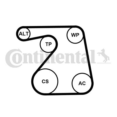 CONTI 6PK1360WP1 Alternatör Gergi Kiti Devirdaim