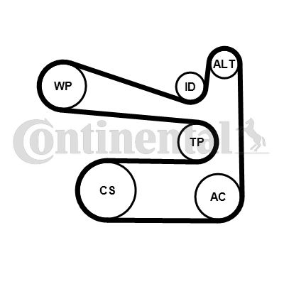 CONTI 6PK1693WP1 Alternatör Gergi Kiti Devirdaim