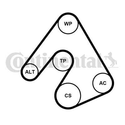 CONTI 6PK2490WP1 Alternatör Gergi Kiti Devirdaim