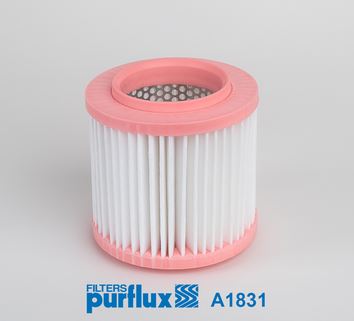 PURFLUX A1831 Hava Filtresi Vw