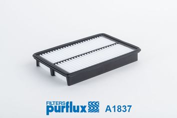 BSG 40-135-017 Hava Filtresi  H1