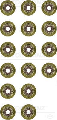V.REINZ 123853901 Supap Lastigi Takimi Land Rover 224dt Discovery L550 Freelander Ii L359 Range Rover Evoque L538 . Fo Rd Mondeo Kuga Ii Focus . Psa Boxer 407 308 508 Traveller Citroen Jumpy C4 C5 16 Li