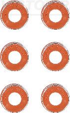 V.REINZ 124195301 Seal Set. Valve Stem