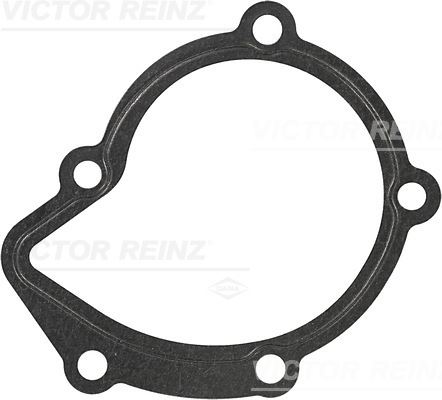 V.REINZ 702592030 Gasket. Water Pump