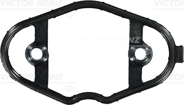 V.REINZ 711140100 Gasket / Seal