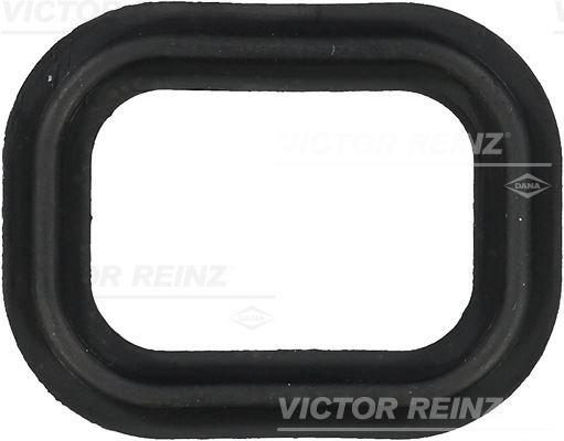 V.REINZ 713565100 Gasket. Intake Manifold