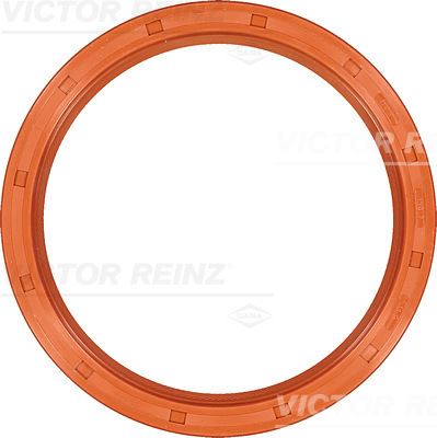 V.REINZ 811013200 Shaft Seal. Crankshaft