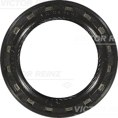 V.REINZ 812179840 Shaft Oil Seal
