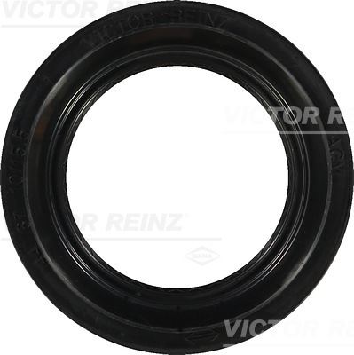 V.REINZ 812941100 Shaft Oil Seal