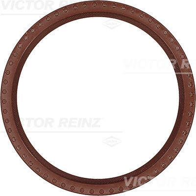 V.REINZ 813431800 Shaft Oil Seal
