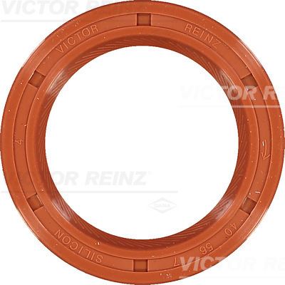 V.REINZ 813551400 Shaft Oil Seal
