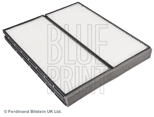 BLU ADG02556 Polen Filtresi  Terracan