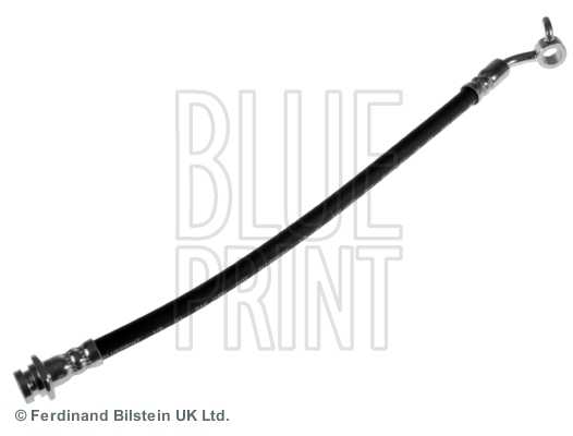 BLUEPRINT ADN153235 Fren Hortumu Pathfinder