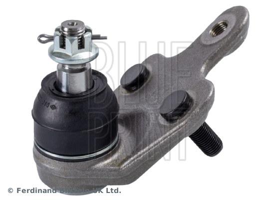 BLUEPRINT ADT386203 Rotil Rx