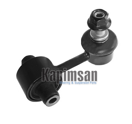 KAPIMSAN 10-01962 Z Rot Arka Sol/Sağ Hyundai Ioniq Ae