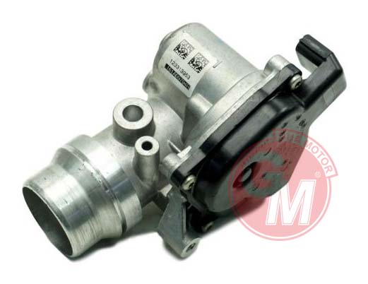 GUA 41196 Kelebek Boğazi Renault Clio Iv Clio Iii-Scenic Iii-K9k 1.5dci