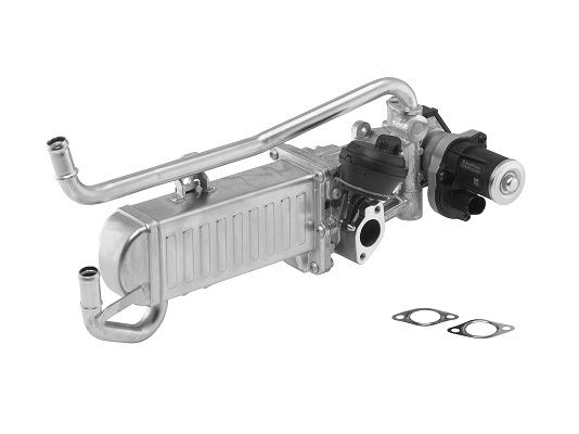 BORGWARNER 710862D Egr Module Audi-Skoda-Seat-Vw 1.6 2009-2019