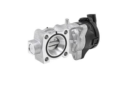 BORGWARNER 72147557D Egr Valve Mercedes Actros-Series 7.7 2019