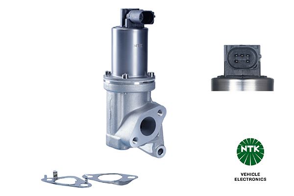 NGK 95819 Egr Valfi Ege5-D038 Hyundai-Kia