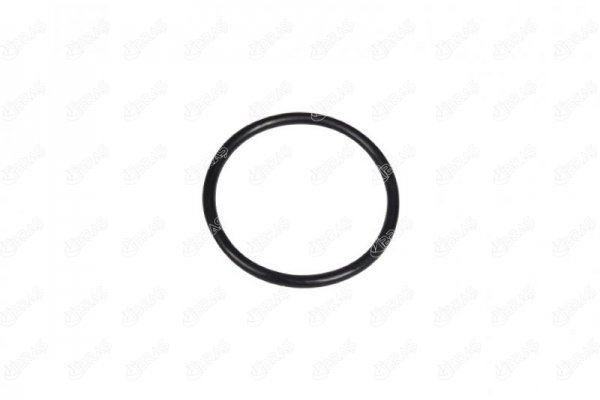 7701071162 Oring Conta
