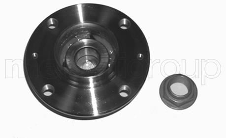 CIFAM 6192444 Arka Teker Poryasi Komple Peugeot P307 00> Citroen C4 04> 129x25x59