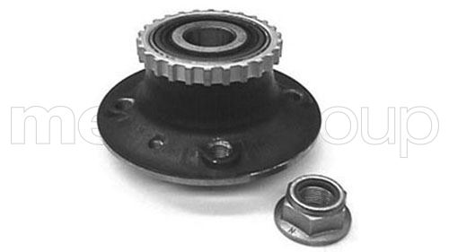 CIFAM 6192449 Arka Teker Poryasi Rulmanli Renault Kangoo 97>