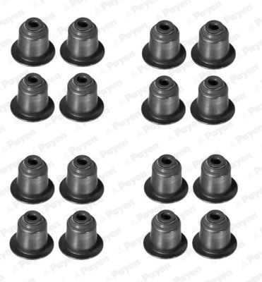 ELR-214.800 Subap Lastik Seti (Bmw  118d 120d 318d 320d)