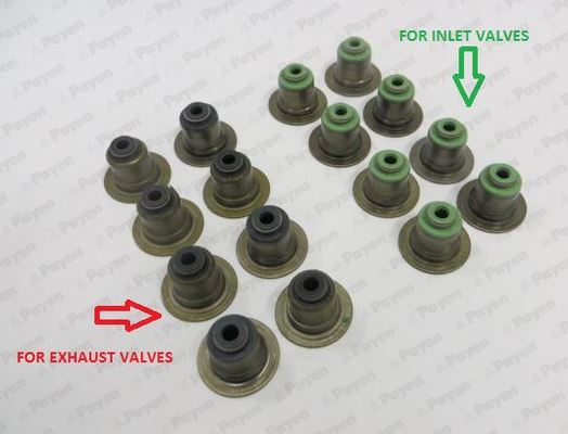 PAYEN HR5063 Subap Lastigi Set In Ex 2.0 Freelander 2 L359 R.R Evoque L538 Jaguar Xj X351 Xe X760 Ford Transit Mondeo Focus Volvo S80 S60 S40