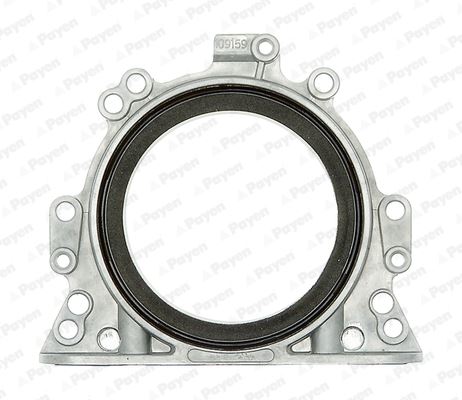 PAYEN LK5006 Keçe Vw