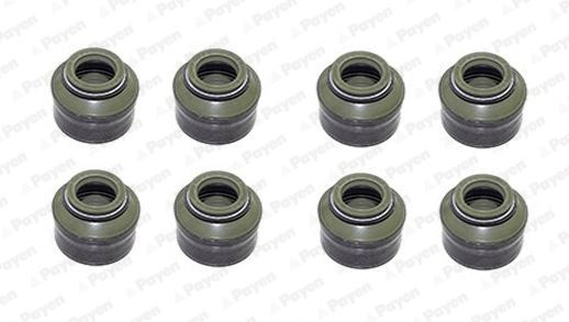 PAYEN HR602 Renault Supap Lastiği Set