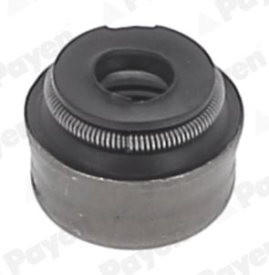 PAYEN PA5025 Subap Lastiği Opel Astra G-H-J-Corsa B-C-D-E-Combo C-D-E-Adam-Mokka-Insignia A-Meriva A-B-Vectra B-C Zafira A-C-Tigra 1.0-1.2-1.4-1.6-1.8 Xe-Xel-Xep-Net-Xer-Nel-Neh-Xfl