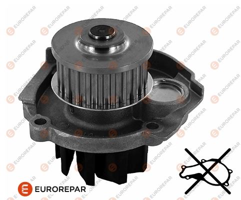 PSA-1623100080 Erp - Devirdaim Pompasi Am