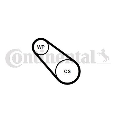 CONTI 3PK576ELASTWP1 Devirdaim Kayiş 3pk576 Corsa F-Crossland-P108-P208-P301-P308-P2008-C-Elysee-C1-C3-C4-Ds3 1.2 Vti Puretech