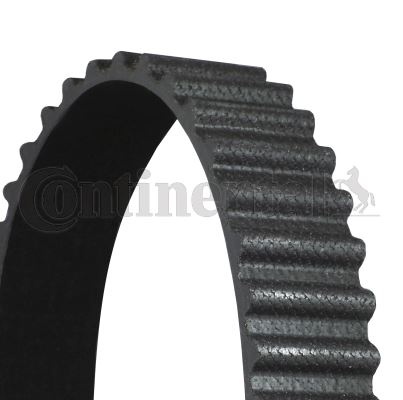 CONTI CT1237 Timing Belt