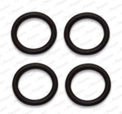 PAYEN HA5029 Emme Manifold Contasi P107-P206-P307-Bipper-Nemo-C1-C2-C3-Fiesta-Fusion 1.4 Hdi Dv4