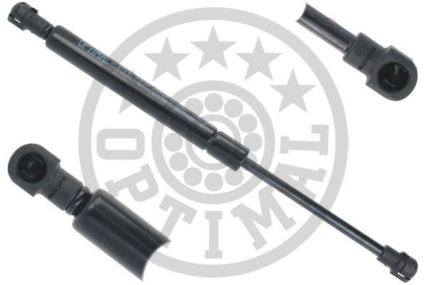NP-210023 Bagaj Amortisoru Megane I Sedan 1996-2003 300mm 420n