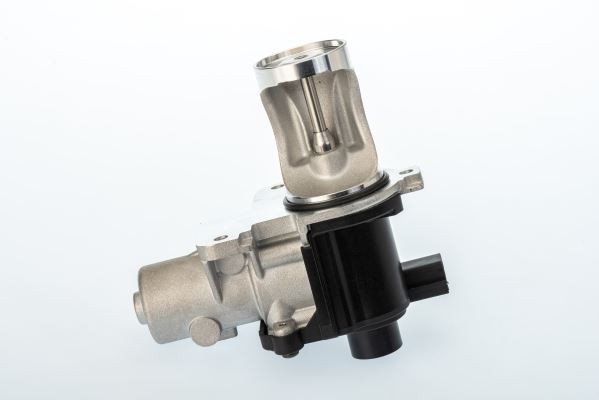 BORGWARNER 710571D Egr Valve Electric Audi-Vw-Skoda 1.9. 2.0 2000-2010