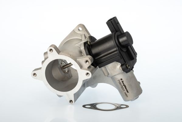 BORGWARNER 710575D Egr Valve Electric Vw 2.5 2003-2013
