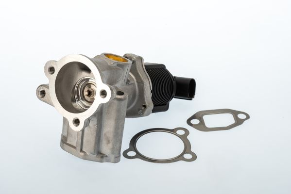 BORGWARNER 710773D Egr Valfi Astra H-Corsa C-D-Combo D-Meriva A 1.3 Dmtj-Cdti Z13dth -Doblo-Fiorino-G.Punto-Evo 90bg