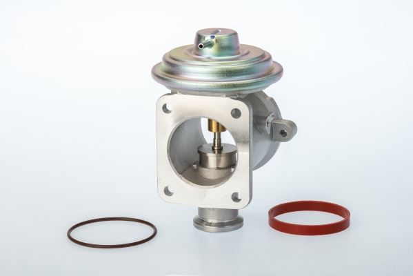 BORGWARNER 710924D Egr Valve Pneumatic Bmw Various 2001-