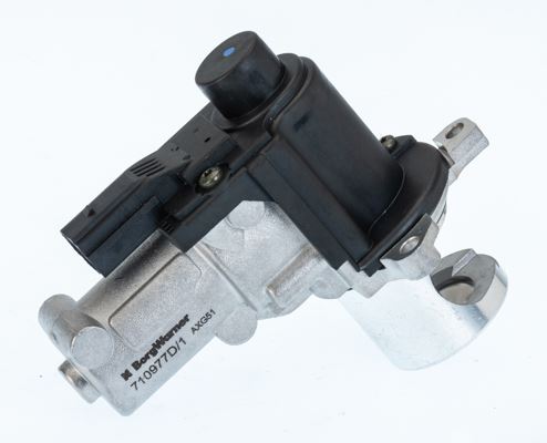 BORGWARNER 710977D Egr Valve Electric Audi-Vw-Mercedes Various 2004-2018