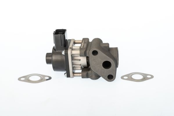 BORGWARNER 711024D Egr Valve Electric Fiat-Suzuki Various 2000-