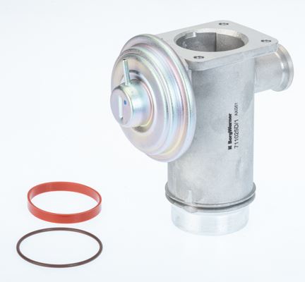 NIS-98352 Egr Valfi M47n2-M57n-M57n2  -  E60-E65-E70-E71-E87-E90-E92-E93