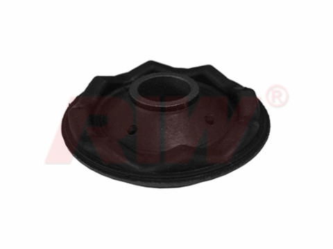 RIW FO11032 Salincak Ve Denge Kolu Burcu Orta Büyük