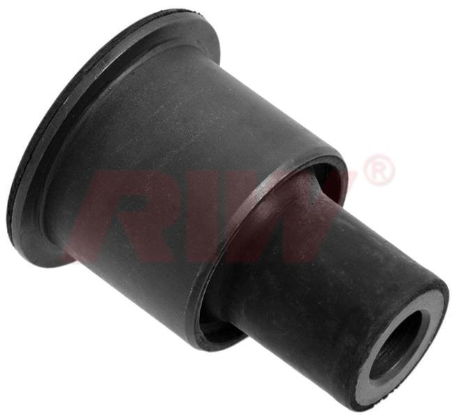 RIW NS11023 Salincak Ve Denge Kolu Burcu Alt