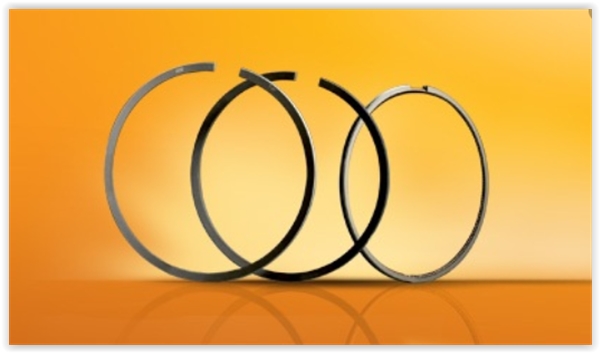 GOETZE 08-287500-00 Segman 111-104 89.90 Mm 1.51.753 İthal