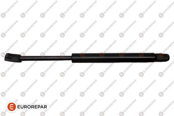 EUROREPAR 1635437580 Bagaj Kap Dayan